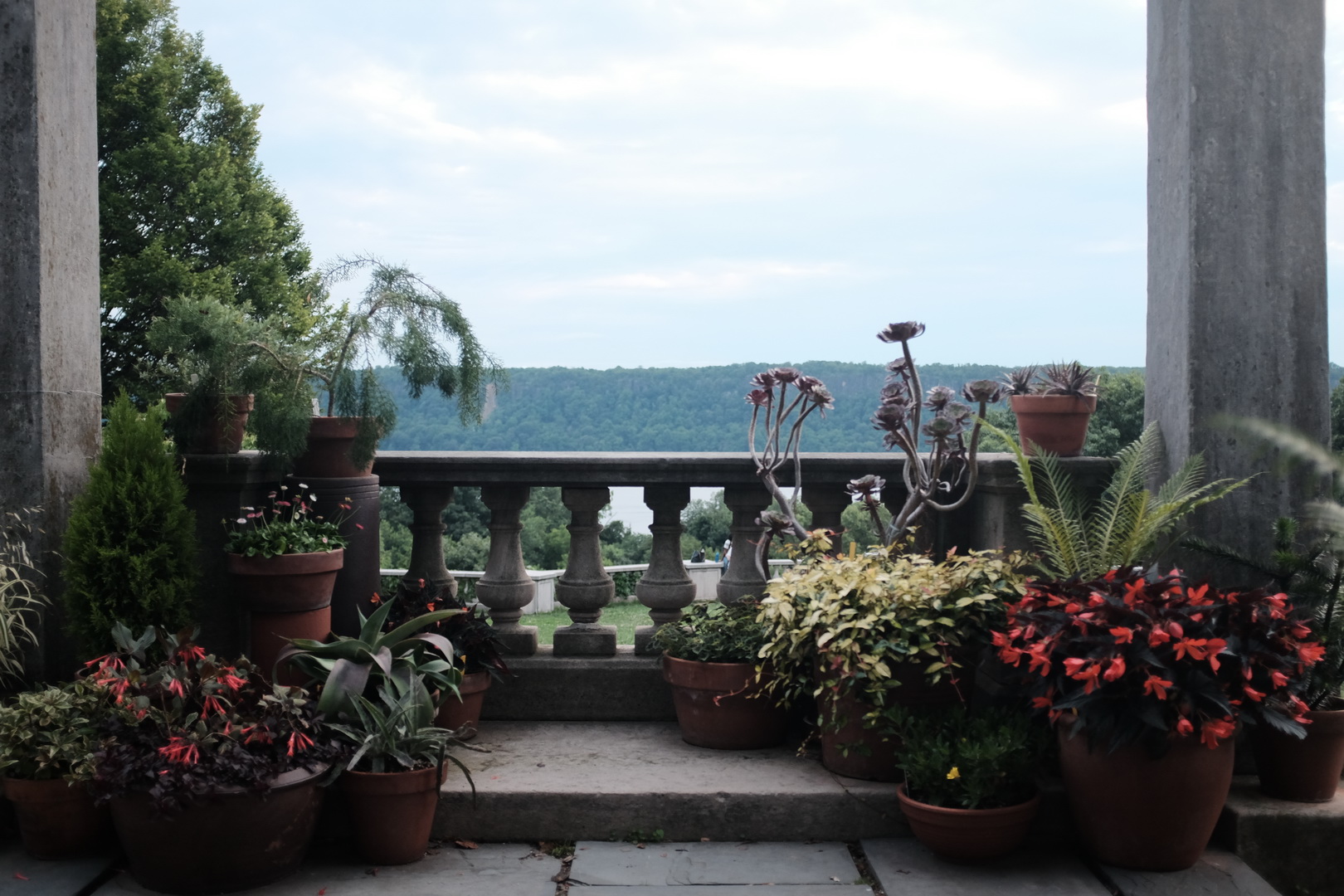 Garden balcony shot using Classic Chrome